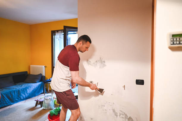 Certified Mold Removal in Myrtle Point, OR