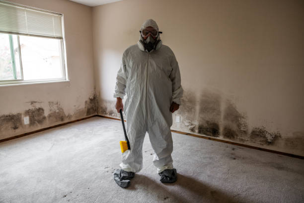 Certified Mold Removal in Myrtle Point, OR